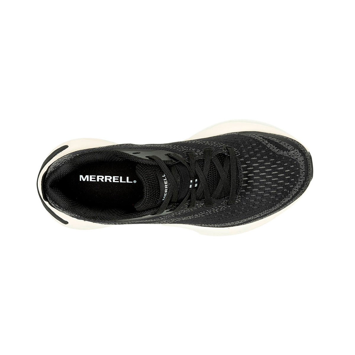 Sneaker Morphlite