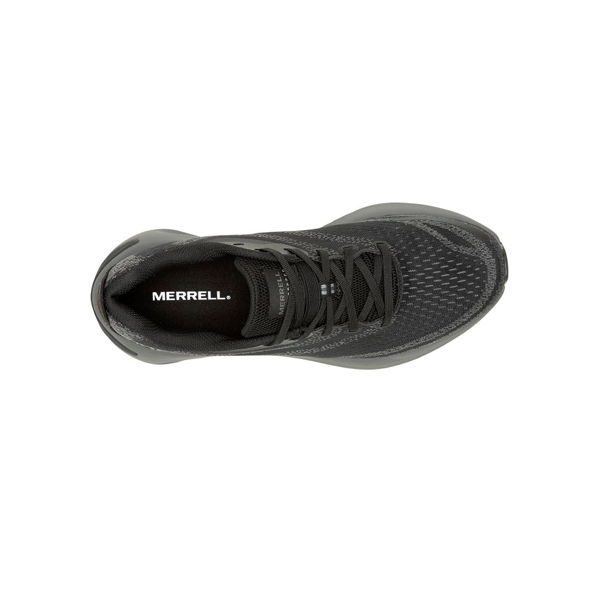 Sneaker Hombre Morphlite