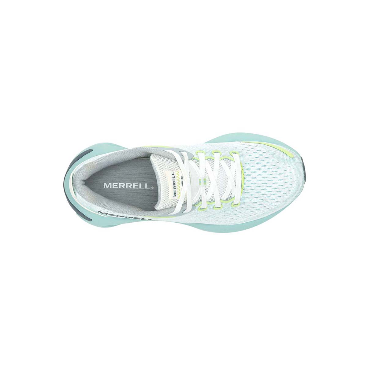Sneaker Morphlite