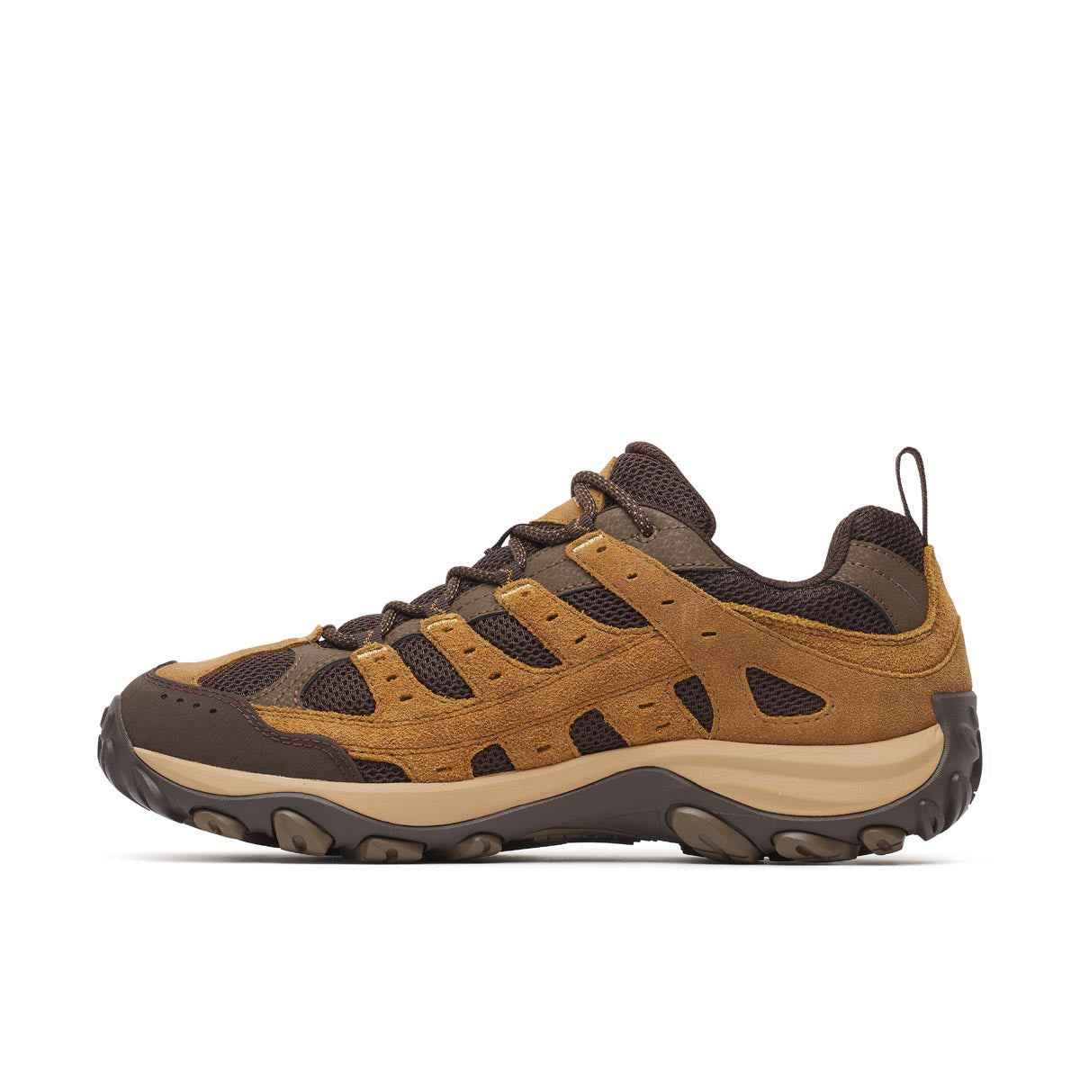 Accentor 4